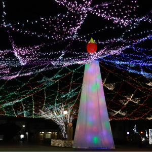 青空公園のイルミネーション