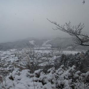 雪でまっしろに染まった鹿野地域