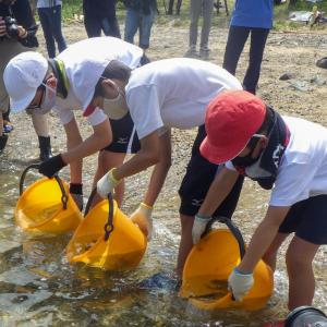 トラフグの稚魚を放流する鼓南小児童