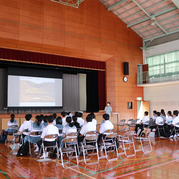 八代のツルについて学習する生徒たち