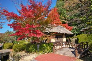 清流通りの紅葉２